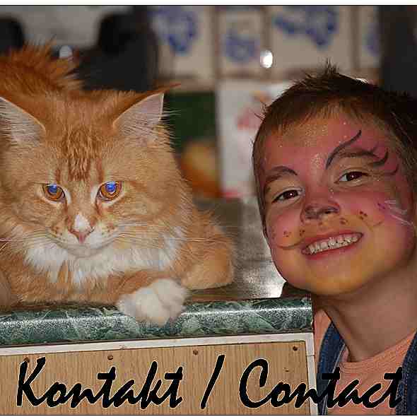 Kontakt