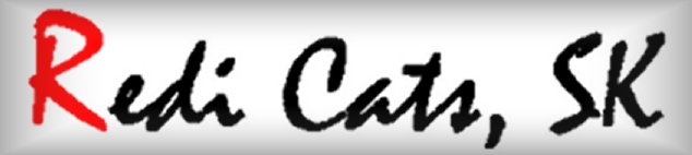 Diskusné fórum Redi Cats